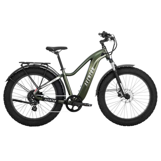 Aventon Cruiser X1 E-Bike / 750W / 48V